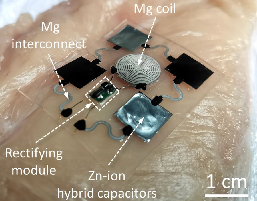 Thiết bị lưu trữ và cung cấp năng lượng không dây do nhóm các nhà khoa học Trung Quốc tạo ra có khả năng phân hủy sinh học. Ảnh: Đại học Lan Châu Thiết bị lưu trữ và cung cấp năng lượng không dây do nhóm các nhà khoa học Trung Quốc tạo ra có khả năng phân hủy sinh học. Ảnh: Đại học Lan Châu