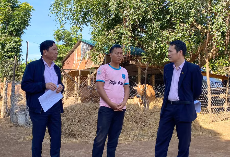 Ông Hoàng Minh Tế (bìa phải)-Phó Tổng Giám đốc Ngân hàng Chính sách Xã hội Việt Nam kiểm tra tình hình thực tế tại hộ vay ở huyện Ia Grai. Ảnh: S.C