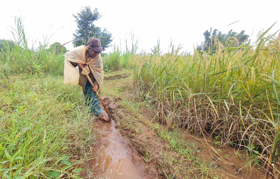 Ông Rôt (làng Bla Trek) khơi thông dòng chảy để dẫn nước vào ruộng. Ảnh: H.P