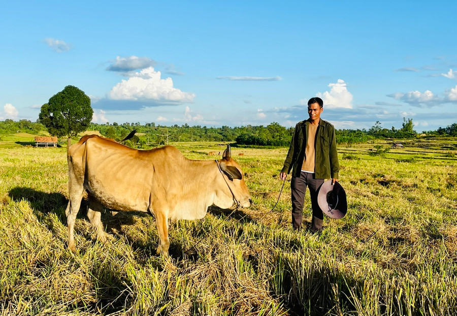 Anh Tháo tuy còn trẻ tuổi nhưng siêng năng trong sản xuất, được người dân quý mến. Ảnh: N.H