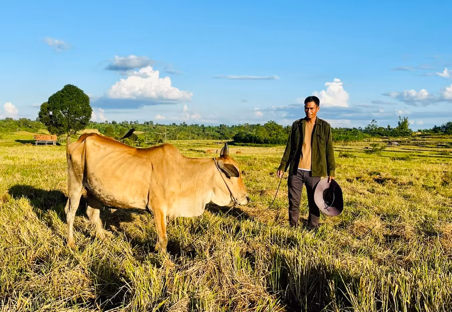 Anh Tháo tuy còn trẻ tuổi nhưng siêng năng trong sản xuất, được người dân quý mến. Ảnh: N.H