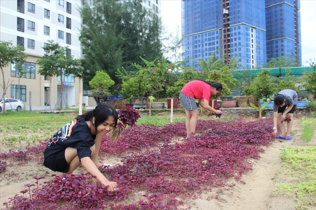 Ngoài việc học, các em tham gia nhiều hoạt động thú vị, trong đó có làm vườn
