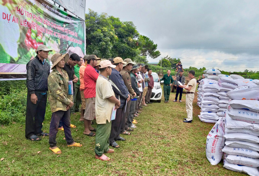 Công ty TNHH Vĩnh Hiệp hỗ trợ phân bón các loại cho nông dân huyện Đak Đoa tham gia Dự án liên kết sản xuất cà phê bền vững theo tiêu chuẩn 4C. Ảnh: Hà Duy