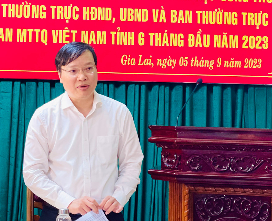 Chủ tịch UBND tỉnh Trương Hải Long phát biểu tại hội nghị. Ảnh: Trần Dung