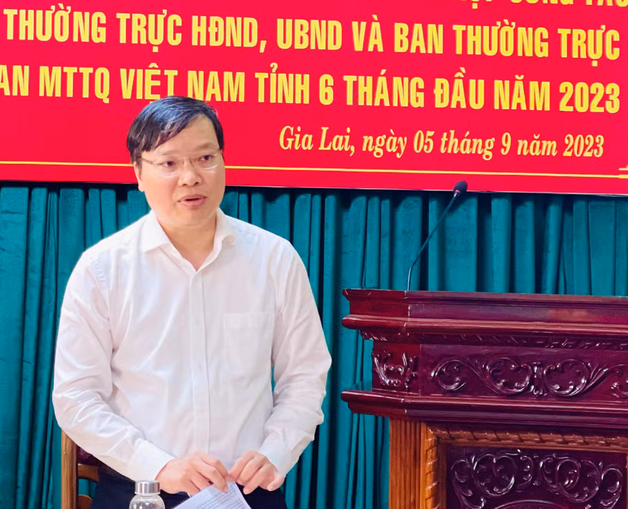 Chủ tịch UBND tỉnh Trương Hải Long phát biểu tại hội nghị. Ảnh: Trần Dung