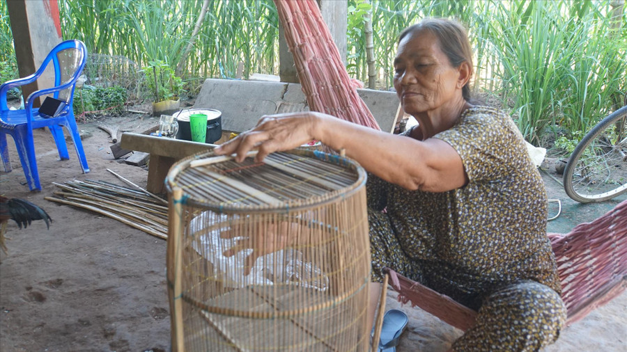 Bà Lê Thị Bảy ở xã Phước Hưng (An Phú, An Giang) đang làm lọp cá linh. Bà Lê Thị Bảy ở xã Phước Hưng (An Phú, An Giang) đang làm lọp cá linh.