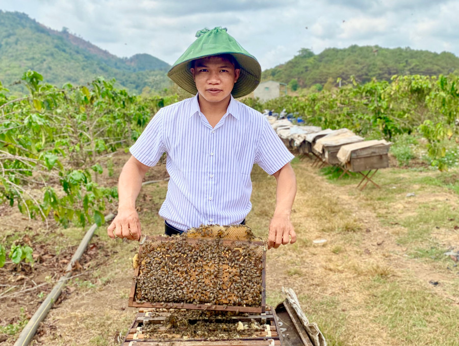 Trang trại sản xuất mật ong Sun Bee (xã Nghĩa Hưng, huyện Chư Pah). Ảnh: Hà Duy Trang trại sản xuất mật ong Sun Bee (xã Nghĩa Hưng, huyện Chư Pah). Ảnh: Hà Duy
