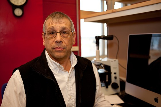 GS Stuart Licht nhấn mạnh sự văn minh của Giải thưởng VinFuture, khi sẵn sàng tôn vinh các nhà khoa học nữ và nhà khoa học đến từ các quốc gia đang phát triển. Ảnh: GWU