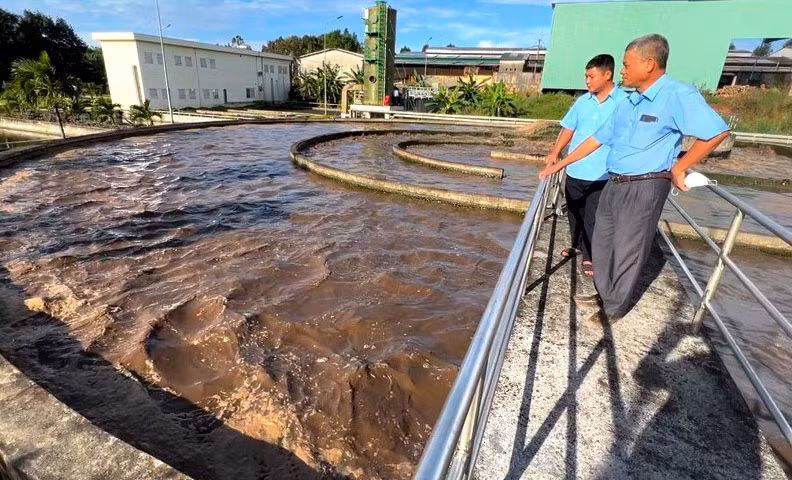 Ông Nguyễn Hoàng Tuấn (bìa phải)-Trưởng phòng Quản lý chất lượng (Công ty TNHH một thành viên Cao su Chư Prông) hướng dẫn quy trình xử lý nước tại bể mương oxy hóa. Ảnh: Đ.Y