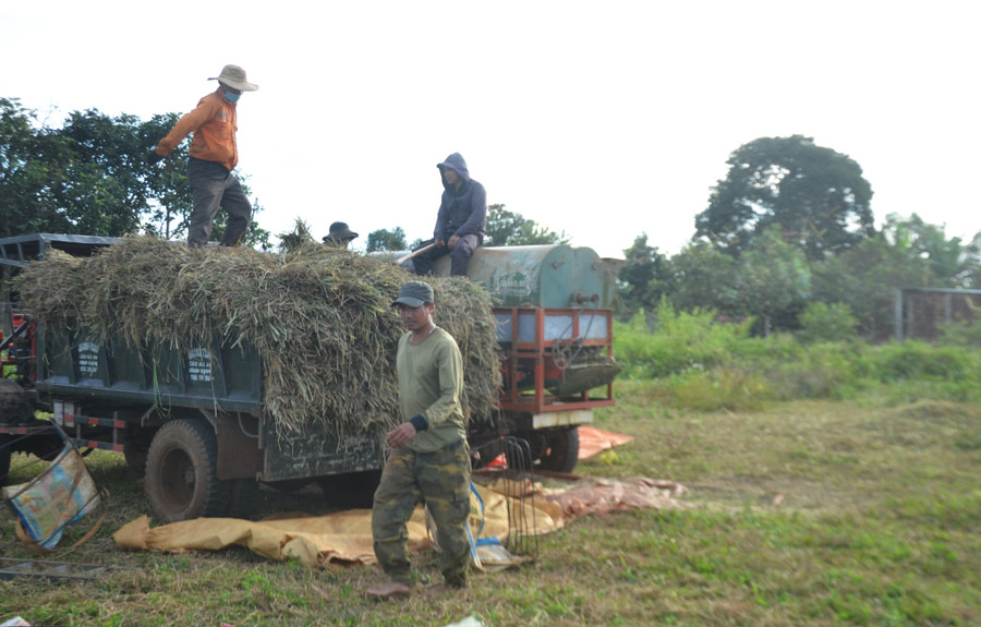 Bà con làng Jút 2 đang tập trung tuốt lúa vụ mùa. Ảnh: Hoàng Minh