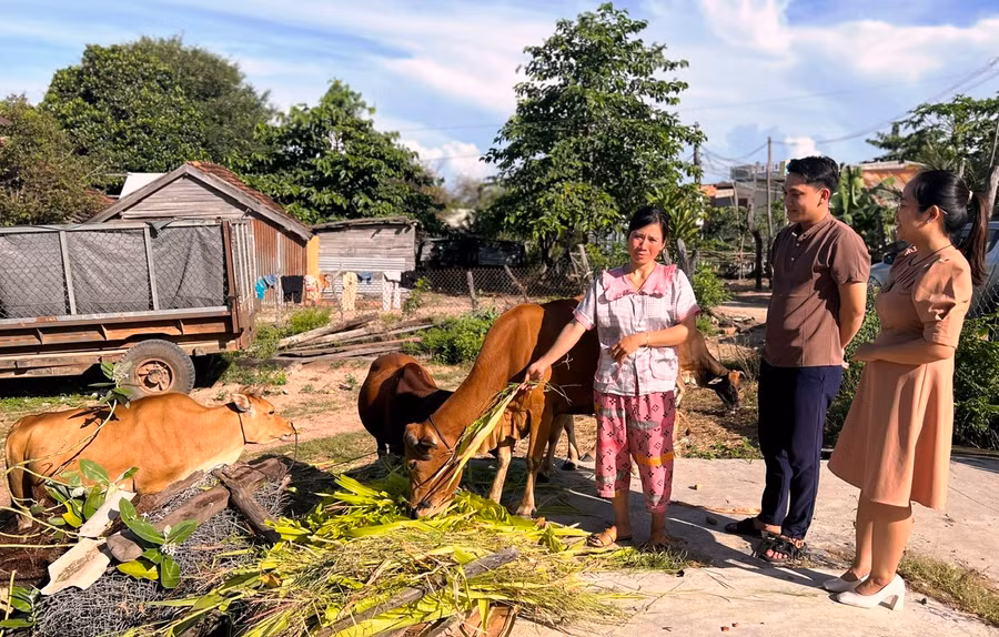 Nhờ có chồng đi Đài Loan, gia đình chị Siu H’Phiết (thứ 3 từ phải sang) có tiền làm nhà ở, mua bò phát triển chăn nuôi. Ảnh: Đ.Y