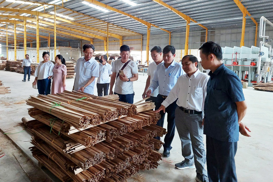 Gỗ tre chuẩn bị đưa vào chế biến. Ảnh: Nguyễn Diệp Gỗ tre chuẩn bị đưa vào chế biến. Ảnh: Nguyễn Diệp