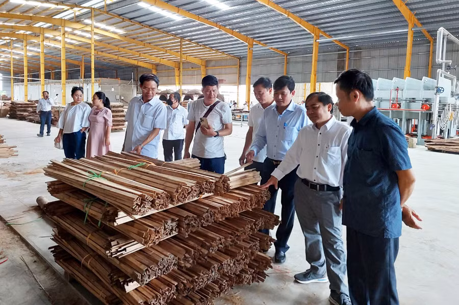 Gỗ tre chuẩn bị đưa vào chế biến. Ảnh: Nguyễn Diệp