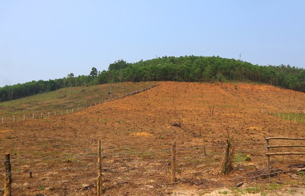 Ảnh minh họa. Nguồn: Hùng Võ/Vietnam+ Ảnh minh họa. Nguồn: Hùng Võ/Vietnam+