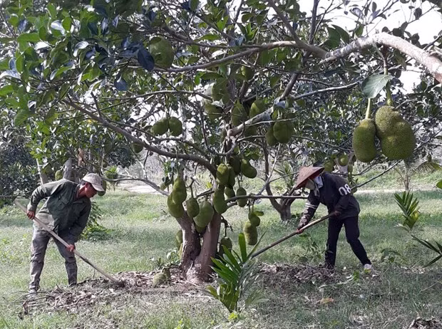 Ảnh minh họa. Nguồn: Hùng Võ/Vietnam+
