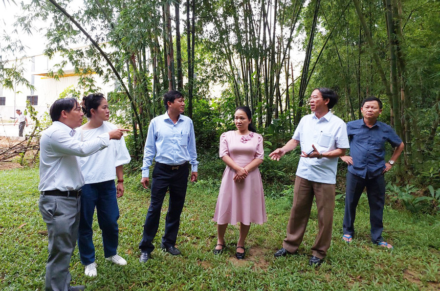 Đoàn công tác tham quan thực tế rừng tre tại huyện Lang Chánh. Ảnh: Nguyễn Diệp Đoàn công tác tham quan thực tế rừng tre tại huyện Lang Chánh. Ảnh: Nguyễn Diệp