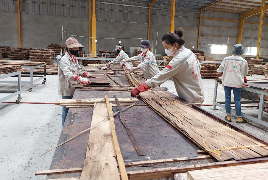 Công nhân làm việc tại Công ty cổ phần Bamboo King Vina (huyện Lang Chánh, tỉnh Thanh Hóa). Ảnh: N.D Công nhân làm việc tại Công ty cổ phần Bamboo King Vina (huyện Lang Chánh, tỉnh Thanh Hóa). Ảnh: N.D