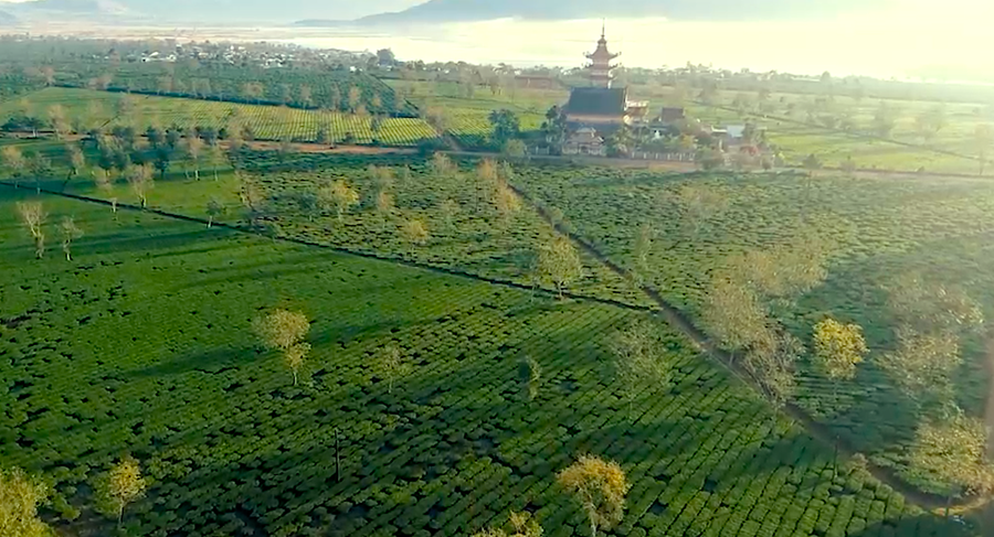 Biển Hồ chè nhìn từ trên cao. Ảnh: Hà Duy