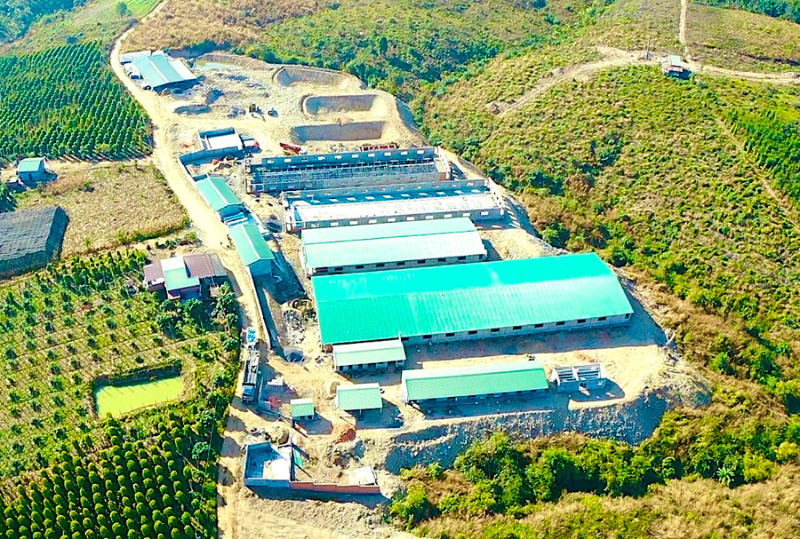 Trang trại chăn nuôi heo công nghệ cao của Công ty cổ phần Nông nghiệp công nghệ cao Ricky farm 79 (huyện Phú Thiện). Ảnh: Hà Duy