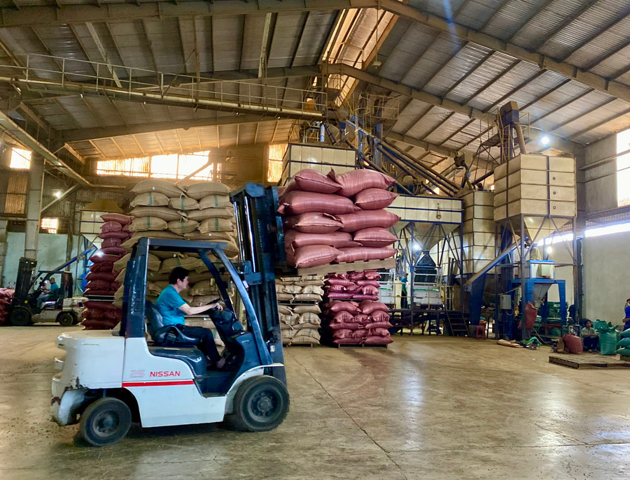 Nhà máy sơ chế cà phê của Công ty TNHH xuất nhập khẩu Hoa Trang-Gia Lai. Ảnh: Hà Duy Nhà máy sơ chế cà phê của Công ty TNHH xuất nhập khẩu Hoa Trang-Gia Lai. Ảnh: Hà Duy