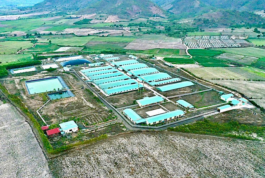 Trang trại chăn nuôi của Công ty cổ phần nông nghiệp công nghệ cao Ricky Farm 79 (xã Ia Sol, huyện Phú Thiện). Ảnh: H.D