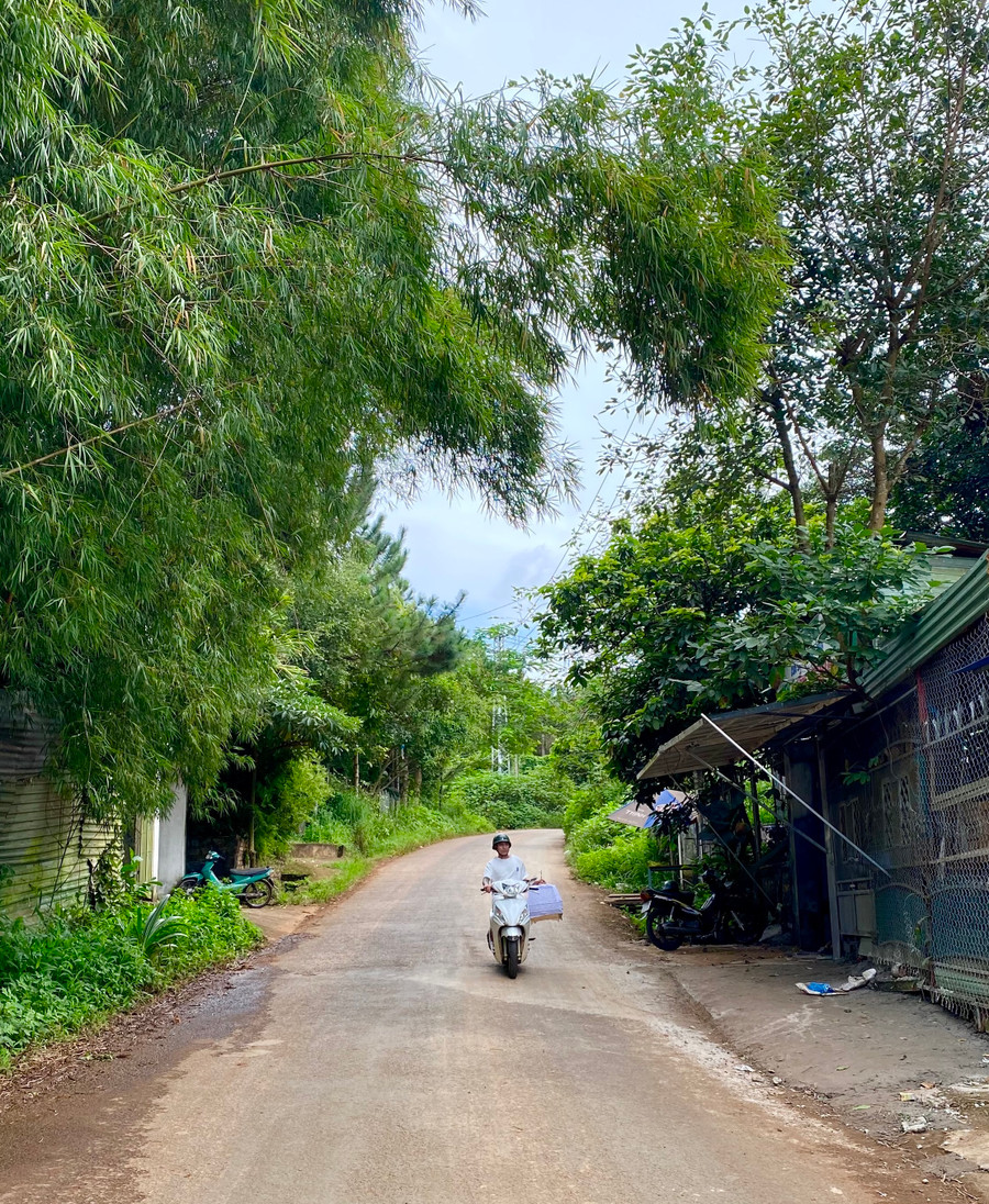 Con dốc Nguyễn Trung Trực bình yên nằm bên hông chùa Minh Thành không sôi động, ồn ã. Dốc có hai bên là những hàng cây xanh ngắt tạo cảm giác rất bình yên, nhẹ nhàng và thư thái.