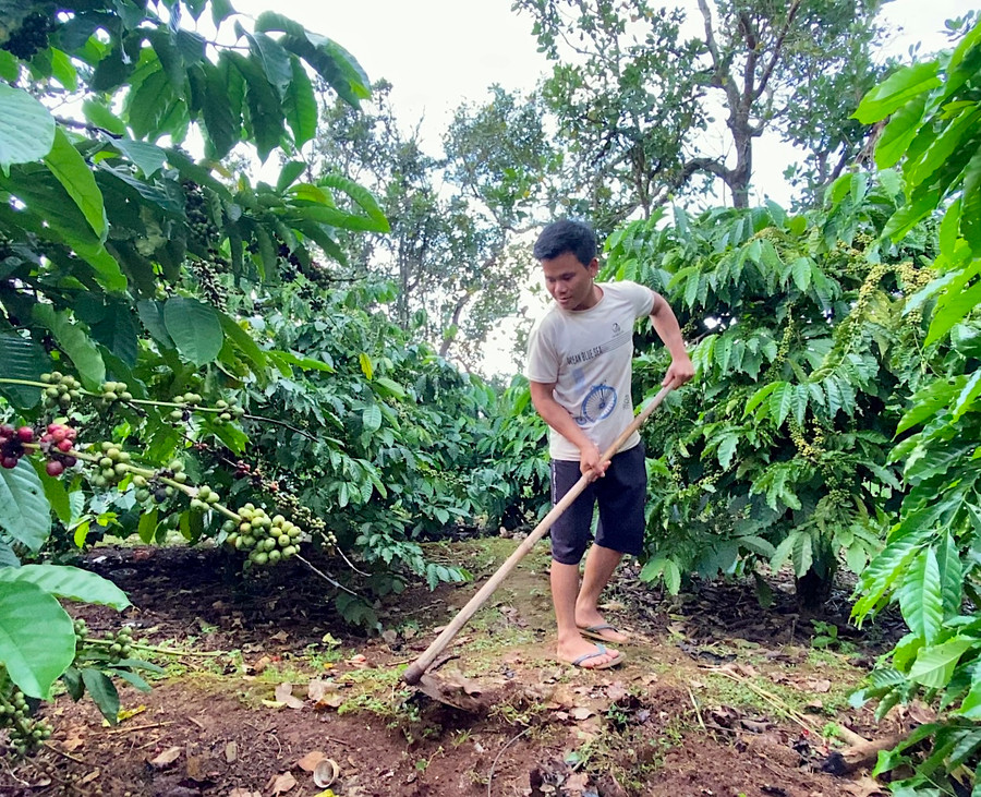 Gia Lai đang nỗ lực đẩy nhanh tiến độ giải ngân các chương trình mục tiêu quóc gia. Ảnh: Hà Duy