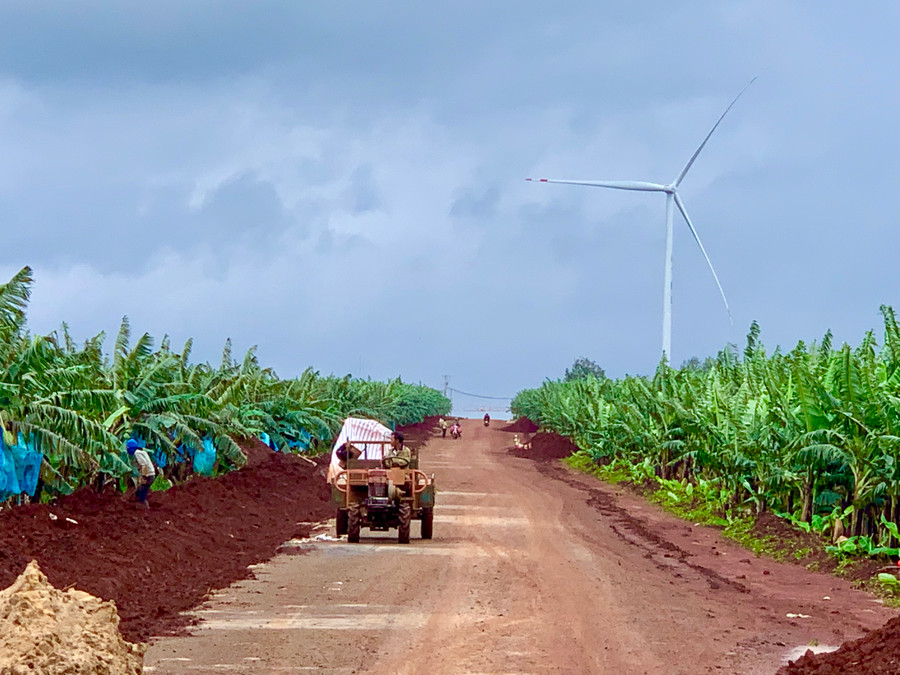Diện tích đất nông nghiệp năm 2023 tại huyện Đak Đoa là 87.906 ha. Ảnh: Hà Duy