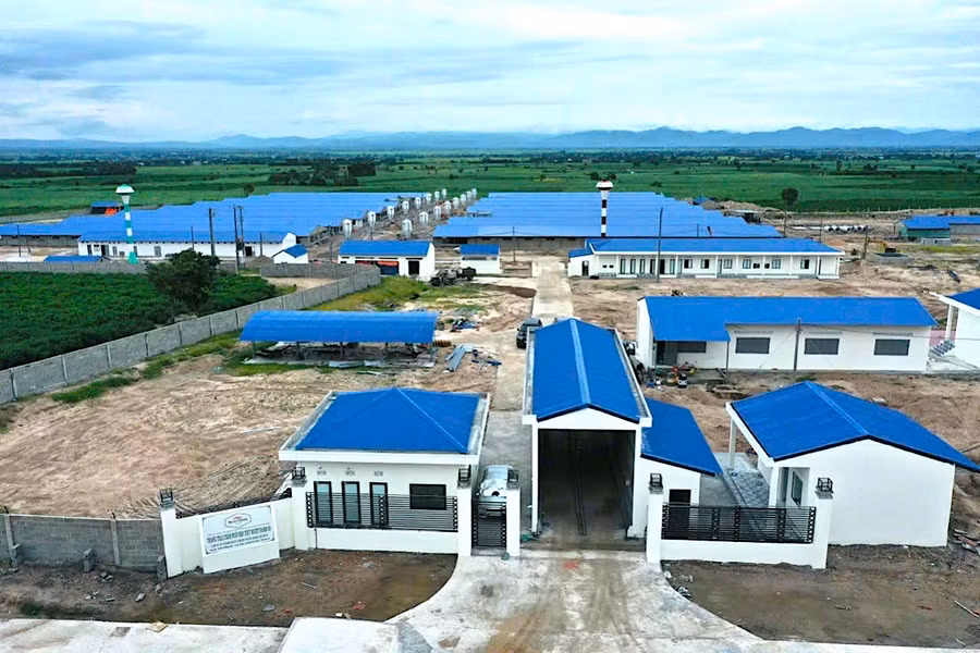 Tỉnh Gia Lai đang tập trung thu hút các dự án chăn nuôi công nghệ cao. Ảnh: H.D