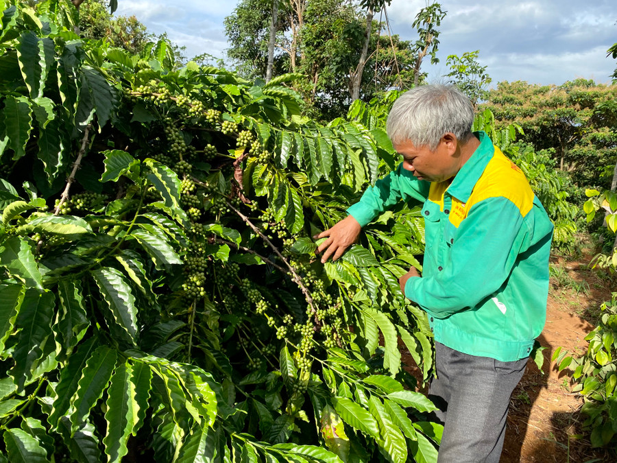 Quy hoạch sẽ tạo cơ sở cho việc lập đề án, chương trình, kế hoạch xây dựng nông thôn mới. Ảnh: Hà Duy