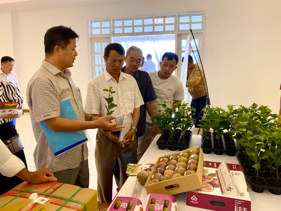 Các đại biểu tham quan gian hàng trưng bày sản phẩm chanh dây của Tập đoàn Nafood. Ảnh: Hà Duy