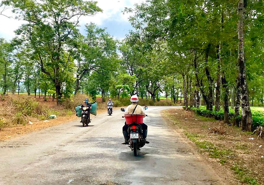 Đường vào núi lửa Chư Đang Ya (xã Chư Đang Ya, huyện Chư Păh). Ảnh: Hà Duy