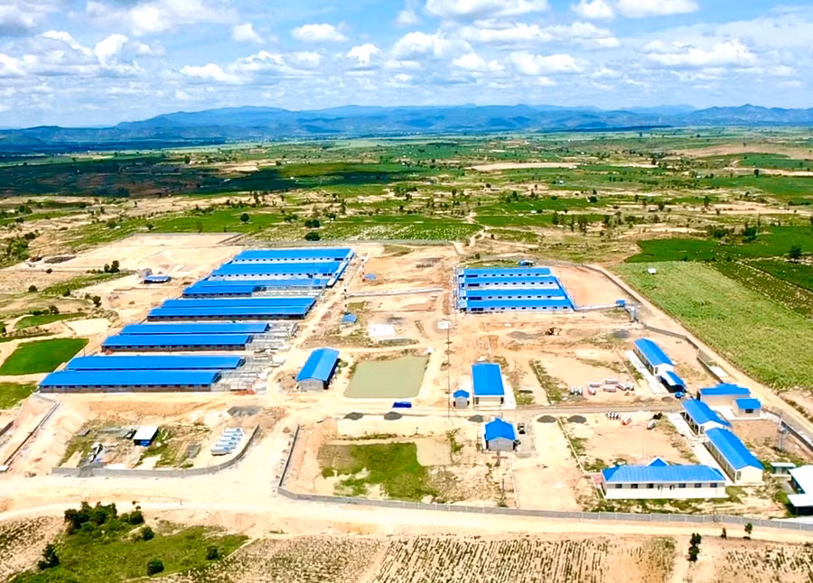 Gia Lai đang thu hút các dự án đầu tư thuộc lĩnh vực chăn nuôi công nghệ cao. Ảnh: Hà Duy