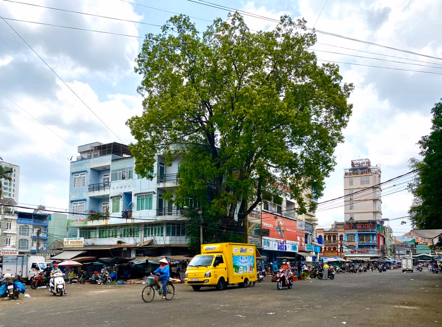 Một góc địa điểm sẽ triển khai dự án chợ đầu mối (chợ đêm). Ảnh Hà Duy.