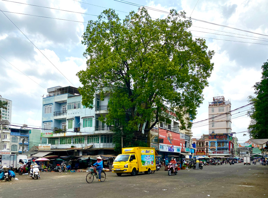 Một góc địa điểm sẽ triển khai dự án chợ đầu mối (chợ đêm). Ảnh Hà Duy.