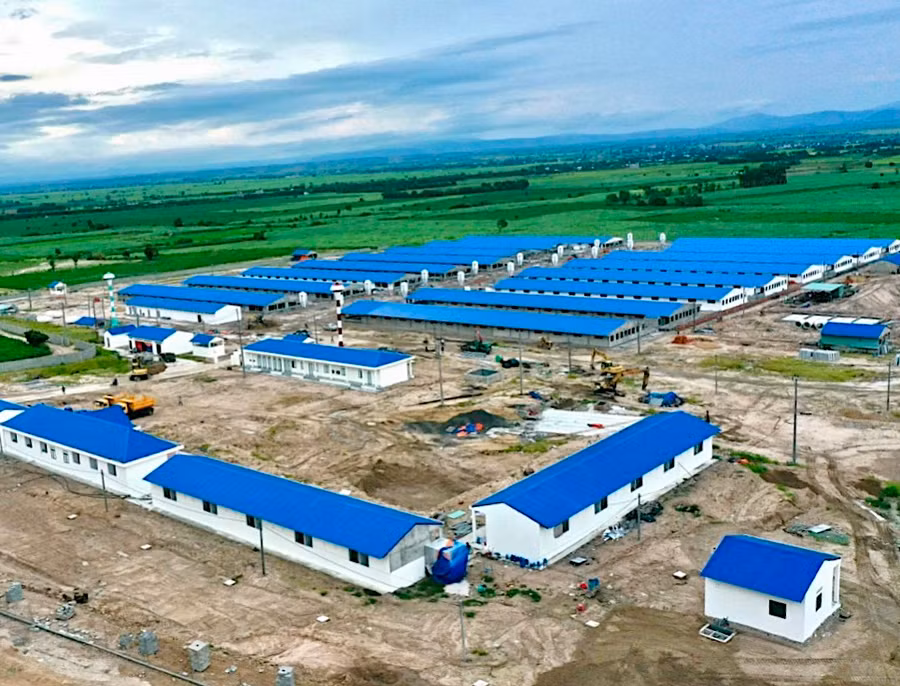 Gia Lai đang thu hút đầu tư các dự án chăn nuôi công nghệ cao. Ảnh: H.D