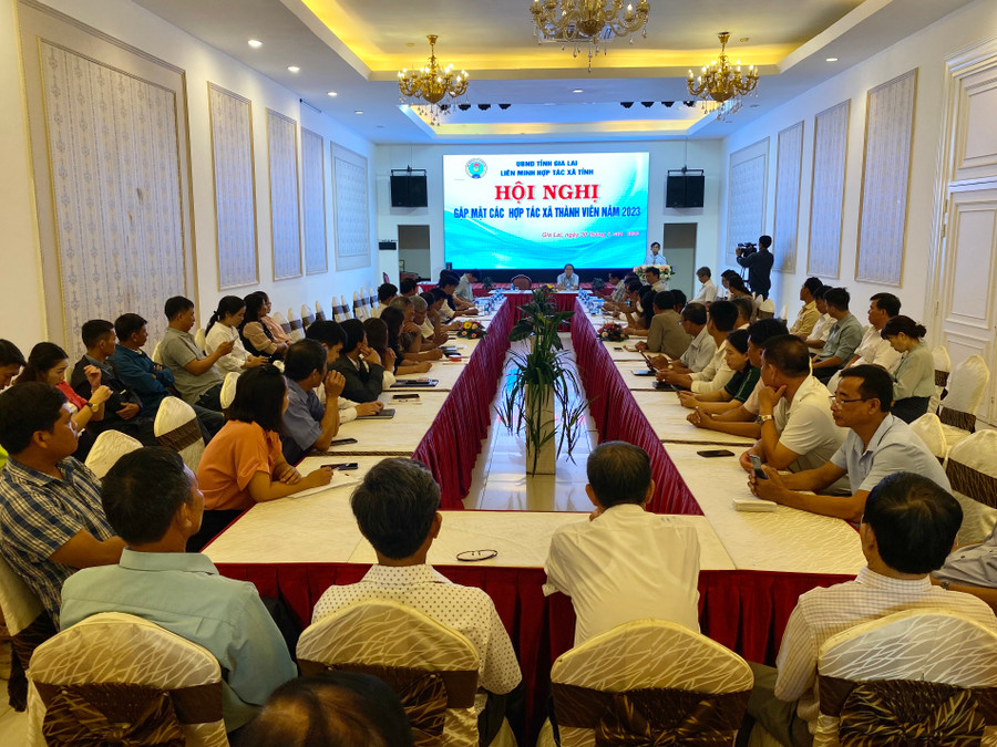 Hơn 70 HTX thành viên tham dự hội nghị gặp mặt, tháo gỡ khó khăn, vướng mắc. Ảnh: Hà Duy Hơn 70 HTX thành viên tham dự hội nghị gặp mặt, tháo gỡ khó khăn, vướng mắc. Ảnh: Hà Duy