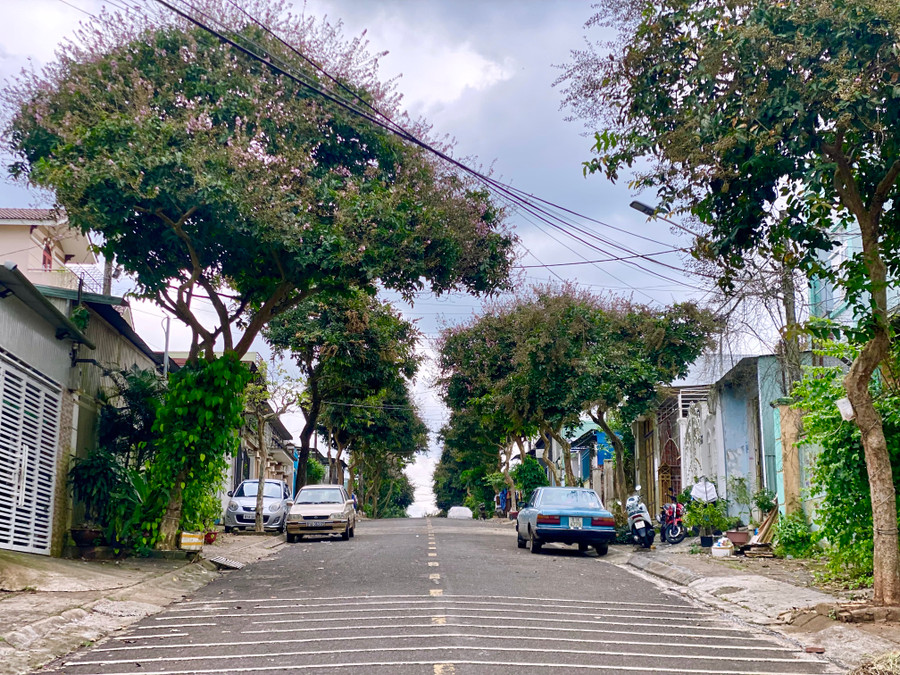 Con dốc Bùi Thị Xuân là một trong những tuyến “xương cá” vắt ngang đường Nguyễn Trãi, đường Bùi Thị Xuân sở hữu một con dốc khá đáng yêu vào những tháng 5 đến tháng 8-mùa hoa bằng lăng nở rộ tím ngắt.