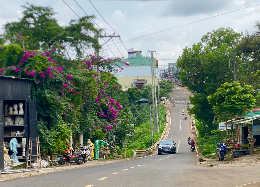 Với chiều dài khoảng 1,4 km, đường Phù Đổng như một chiếc võng nối hai đầu sầm uất là đường Nguyễn Tất Thành và đường Cách Mạng Tháng Tám.