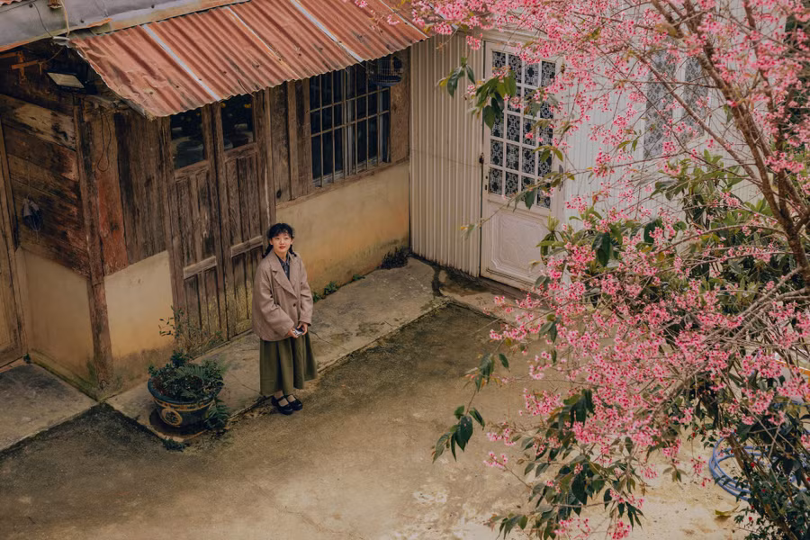 Dẫu trời có lạnh 15 độ C, chỉ cần một chút nắng đẹp, một con đường đầy mai anh đào, là cũng đủ ấm áp từ trong ra ngoài