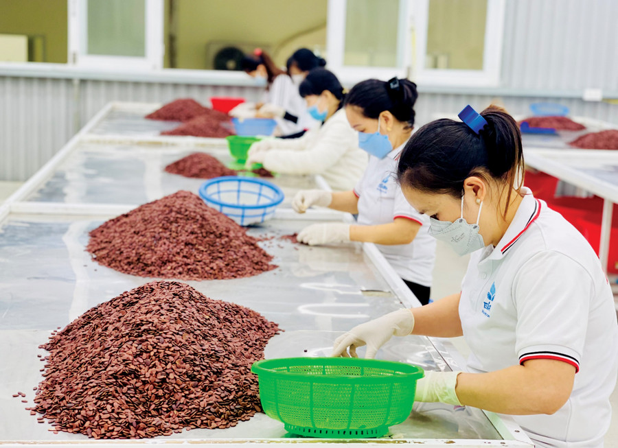 Các mặt hàng nông sản chế biến của tỉnh ngày càng đa dạng. Ảnh: Vũ Thảo Các mặt hàng nông sản chế biến của tỉnh ngày càng đa dạng. Ảnh: Vũ Thảo