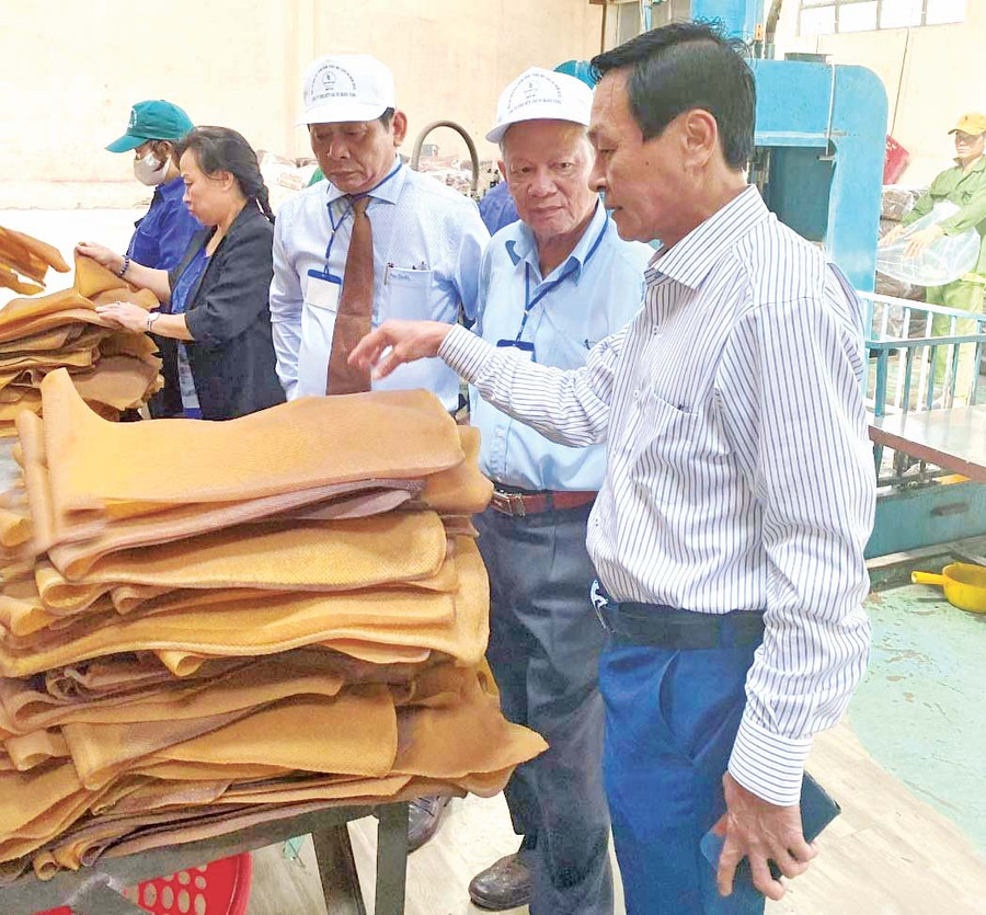 Ông Trần Thanh Phụng-Phó Tổng Giám đốc VRG (bìa phải) kiểm tra quy trình chế biến mủ cao su của Công ty Cao su Mang Yang. Ảnh: Đinh Yến Ông Trần Thanh Phụng-Phó Tổng Giám đốc VRG (bìa phải) kiểm tra quy trình chế biến mủ cao su của Công ty Cao su Mang Yang. Ảnh: Đinh Yến