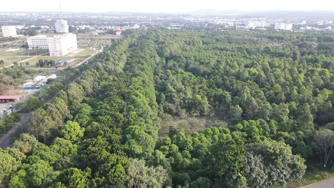 Một khu rừng giữa lòng TP Buôn Ma Thuột Một khu rừng giữa lòng TP Buôn Ma Thuột