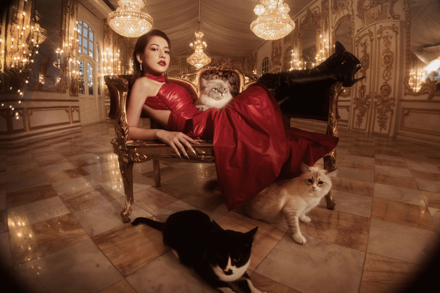 Theo tiết lộ từ ê kíp, chú mèo mà Chi Pu bồng trên tay cũng rất nổi tiếng khi từng đoạt giải của Hiệp hội mèo thế giới được trao tại Bangkok Theo tiết lộ từ ê kíp, chú mèo mà Chi Pu bồng trên tay cũng rất nổi tiếng khi từng đoạt giải của Hiệp hội mèo thế giới được trao tại Bangkok