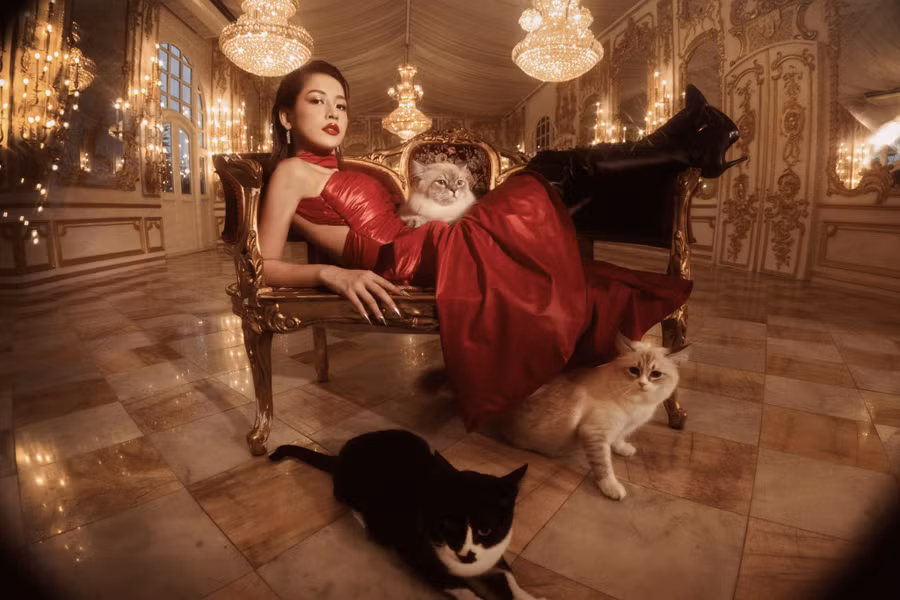 Theo tiết lộ từ ê kíp, chú mèo mà Chi Pu bồng trên tay cũng rất nổi tiếng khi từng đoạt giải của Hiệp hội mèo thế giới được trao tại Bangkok