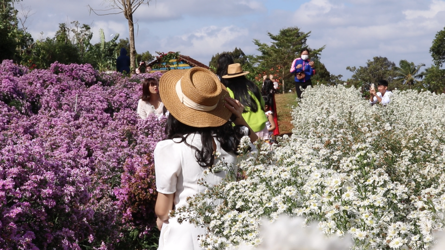 Tại điểm du lịch Khu vườn nhỏ cũng đón hơn 500 khách mỗi ngày. Ảnh: Sầm Ánh Tại điểm du lịch Khu vườn nhỏ cũng đón hơn 500 khách mỗi ngày. Ảnh: Sầm Ánh