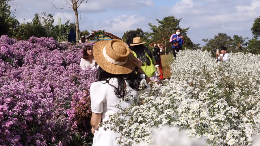 Tại điểm du lịch Khu vườn nhỏ cũng đón hơn 500 khách mỗi ngày. Ảnh: Sầm Ánh