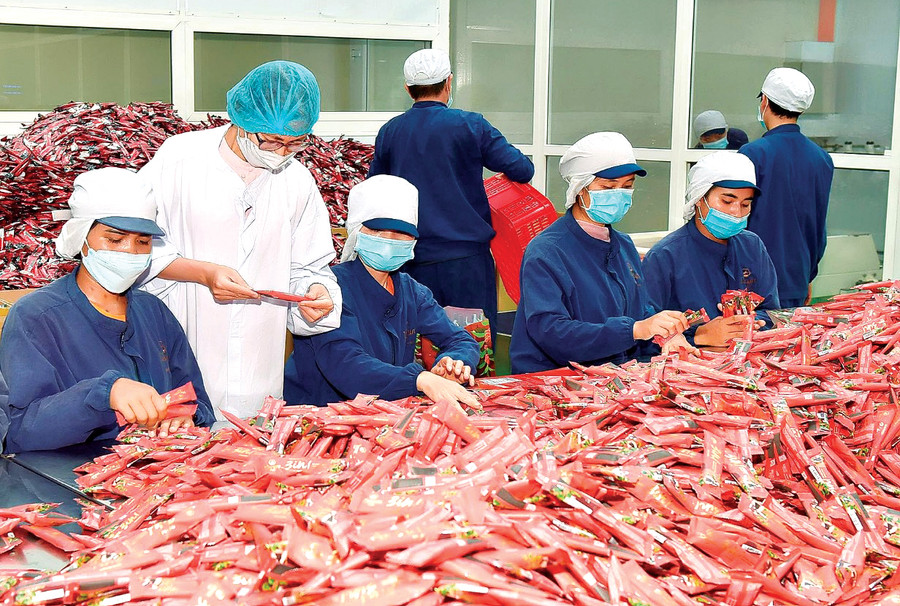 Năm 2022, hoạt động xuất khẩu của tỉnh có nhiều khởi sắc. Ảnh: Đ.T Năm 2022, hoạt động xuất khẩu của tỉnh có nhiều khởi sắc. Ảnh: Đ.T