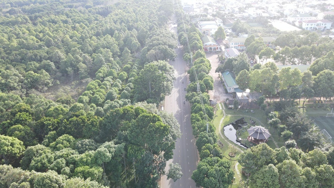 Những tuyến đường rợp bóng cây xanh Những tuyến đường rợp bóng cây xanh