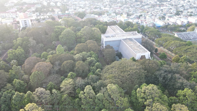 Biệt điện Bảo Đại giữa trung tâm thành phố với rừng cây lâu năm Biệt điện Bảo Đại giữa trung tâm thành phố với rừng cây lâu năm